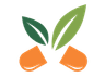 Leben Formulation logo